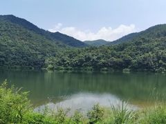 -广州市石门国家森林公园