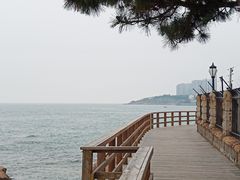 -青岛海滨风景区