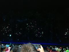 -三亚红色娘子军演艺公园景区