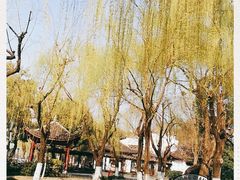 -柳浪闻莺公园