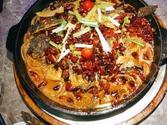 -老板恋上鱼(恒隆广场店)