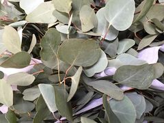 -循礼门鲜花花市(武汉循礼门店)