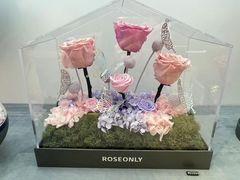 -ROSEONLY诺誓(广州K11店)