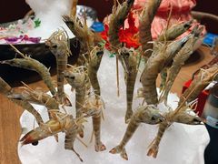 -尚海豆捞(乐虹坊店)