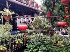 -国生茶庄·地道农家菜团建活动