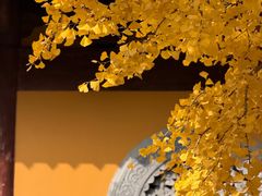 -龙华素斋(龙华路店)