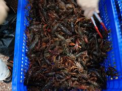 -渔人湾码头海鲜市场负二楼