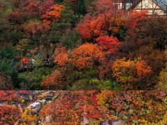 -九如山休闲旅游度假区