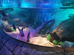 -沈阳海洋探索中心