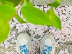 -中国银行(上海市新闸路支行)