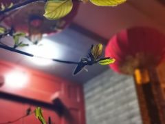 -和平门菜市场