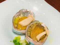 -黑松白鹿(崇文门新活馆店)