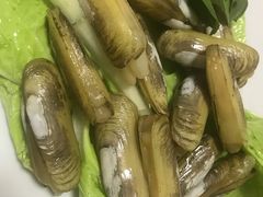指甲蛤-金砂阿洲鱼册店