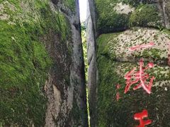 -汤旺河林海奇石景区