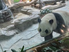 -灵玲国际马戏城