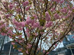 -成都市第二人民医院(庆云院区)