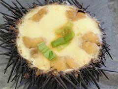 -海胆小馆(东北水饺·春柳店)