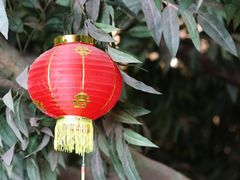 -雅香园·30年老字号顺德酒家(乐从岳步店)