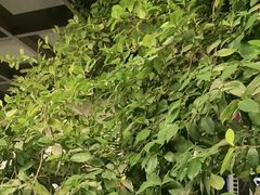 -李东农庄(中南百草园地标店)