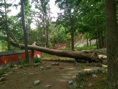 -阳台山自然风景区