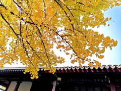 景点-北寺塔