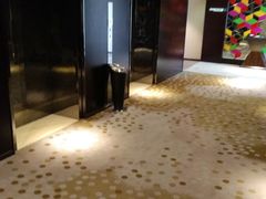 -上海浦东绿地铂骊酒店