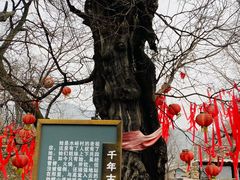 -水峪民俗村