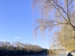 -程府宴(南长街四合院店)