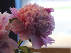 -咖星人E·T coffee·云赛空间