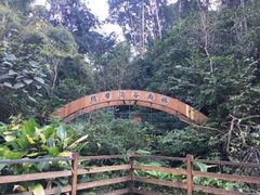 -西双版纳原始森林公园