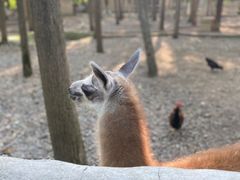 -昆山城市生态森林公园