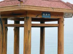 -广东惠东海龟国家级自然保护区