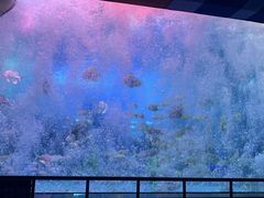 -泉城欧乐堡海洋极地世界