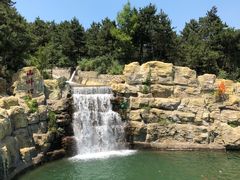 景点-山叶口景区