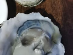 -四季美蚝皇