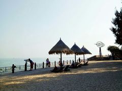 -北海金海湾红树林生态旅游区