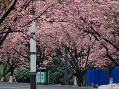 -苏州河梦清园环保主题公园