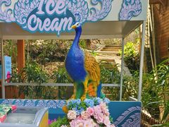 -西双版纳原始森林公园