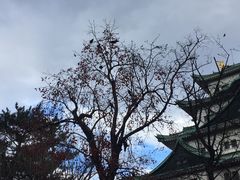 -名古屋城