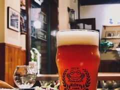 广州保霖暴雨梨花-麦落精酿啤酒餐吧(先农大院店)