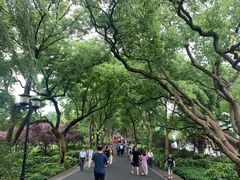-西湖游船