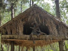 -合肥滨湖国家森林公园