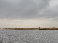 -乌梁素海景区