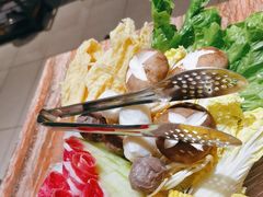 -春润大地海南椰子鸡(沙井京基百纳广场店)