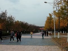 -金陵图书馆