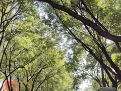 -北京眼镜城