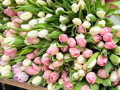 -循礼门鲜花花市(武汉循礼门店)