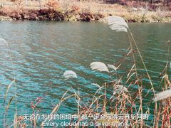-大连天门山国家森林公园