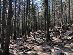 -芦芽山旅游度假区