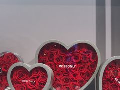 -ROSEONLY诺誓(广州K11店)
